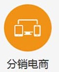 分销电商
